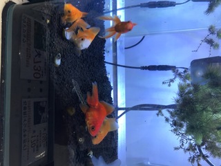 019D1280-067D-43E4-AD6E-6AD7684517E1.jpeg