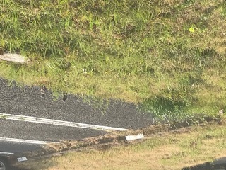 0D164FAA-CC62-47F2-95AA-2E75F057777D.jpeg