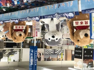 161B44D0-A129-4D61-B103-66C5D6B042A4.jpeg