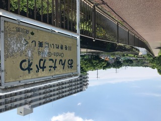 24130854-5021-47A5-9E38-139A3A5014B5.jpeg