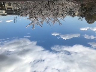 36717802-6BCE-4085-9A81-6D8B2E363417.jpeg
