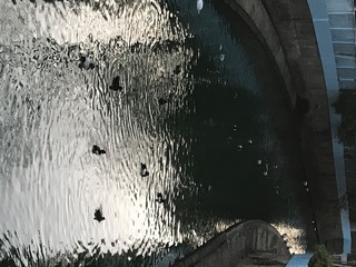 37C16213-28F1-478E-856F-C48830D462C0.jpeg