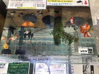 59E5032B-A842-4E63-9154-41AC24F73C66.jpeg