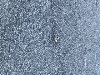 6D4EBF2F-BC64-4D81-A64E-C6DB9062AC20.jpeg