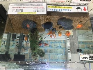 71DF65C8-2C18-48E7-96BA-9E3AEA28D455.jpeg