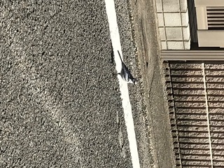 74387FA3-601F-4646-AA91-46A987893936.jpeg