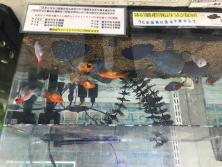 A7D5B34F-E015-434D-AE30-E3FD67C2BB06.jpeg