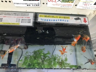 AFA856EB-20EE-40E1-AA7A-68407F591613.jpeg