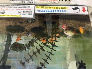 B3CAE22C-48C9-4B8E-8509-07C046EFD81C.jpeg