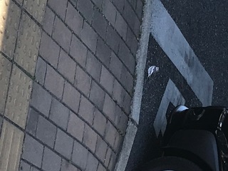 C7CE03C3-77A5-4B6E-8FF0-D05B05A531A9.jpeg