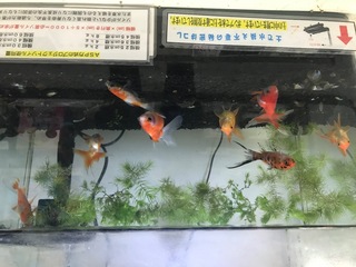 E9B45D3E-2664-4632-9E13-90EBEE03AC18.jpeg